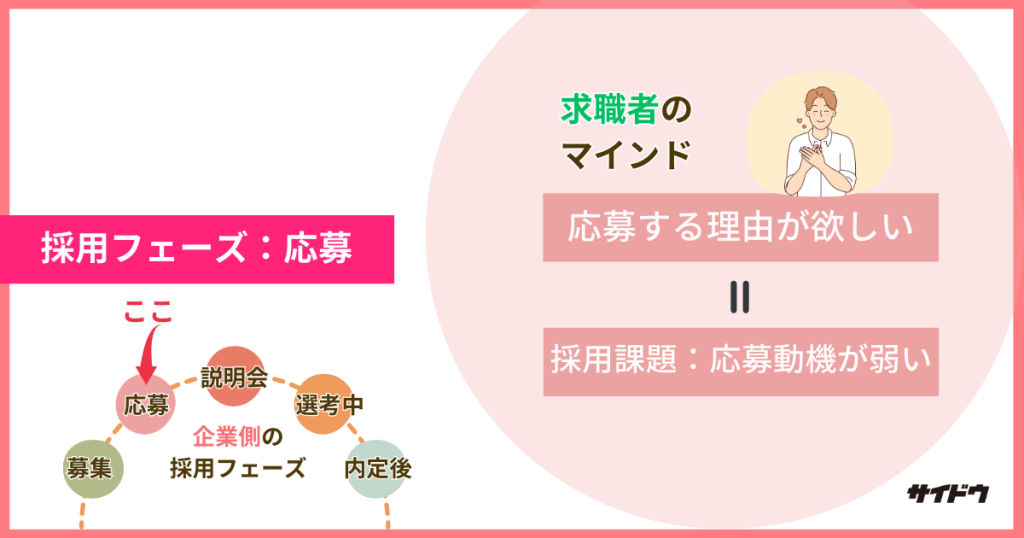 採用動画の採用フェーズ：応募