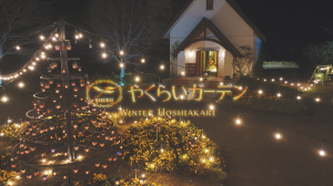 やくらいガーデン 星あかり