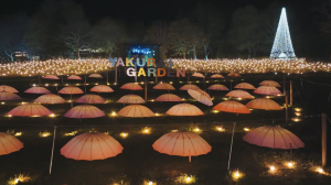 やくらいガーデン星あかり